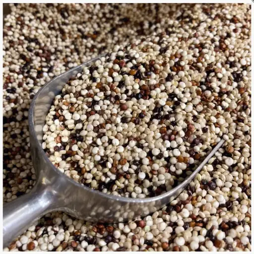Mixed Quinoa 1kg