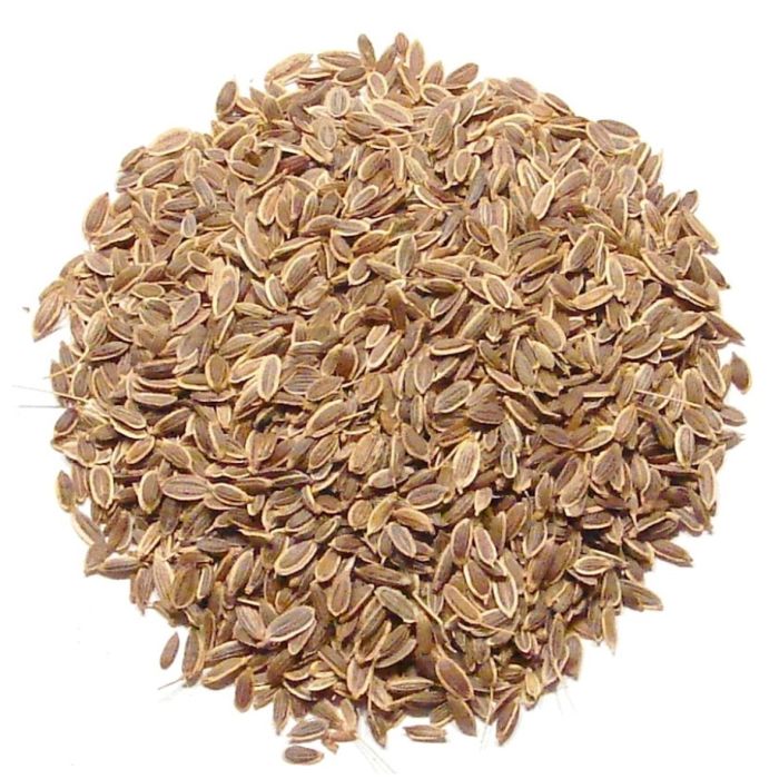 Dill Seeds