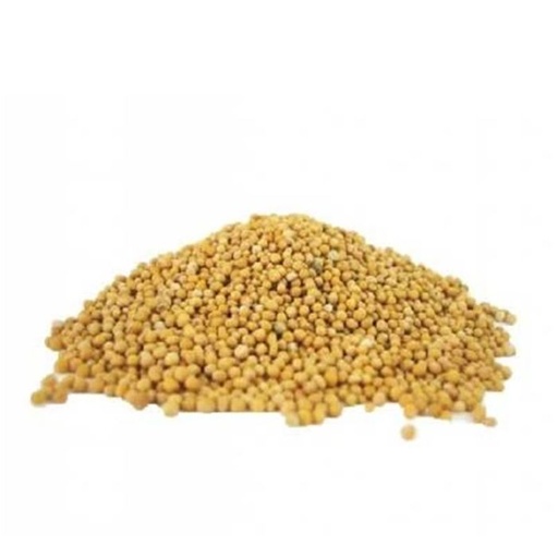 Mustard Seed Yellow