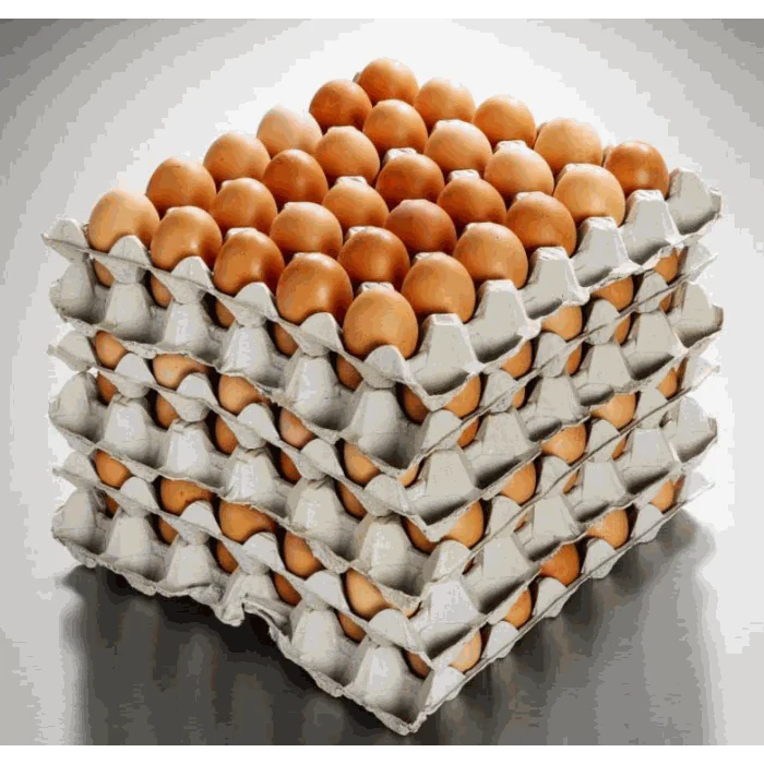 Golden Eggs Caged Eggs(59g) Caterer Pack 10.6kg
