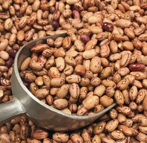 Borlotti Beans