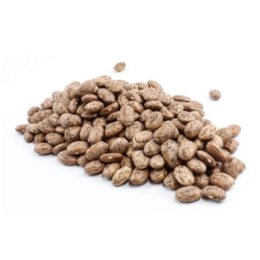 Pinto Beans