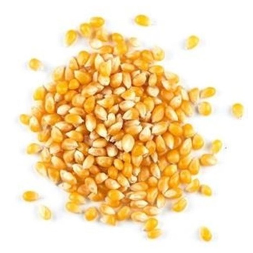 Popping Corn