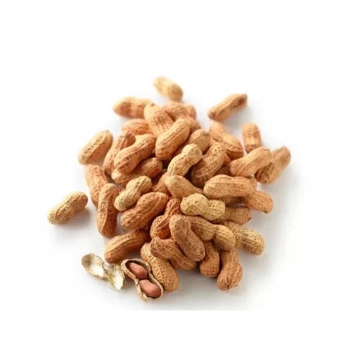 Roasted Peanuts In Shell Chinese 20kg