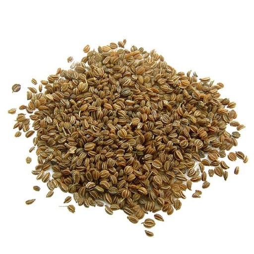 Celery Seed 500g