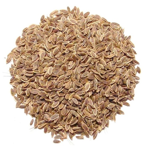 Dill Seeds