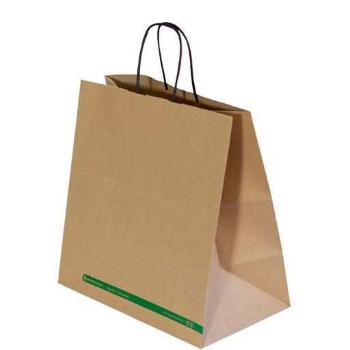 Carry Paper Bag (EP-PB003) Twist Handle Kraft (300x300x175mm) x 250pcs