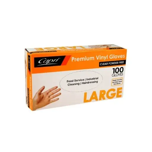 Gloves (C-GV0006) Powder Free Large 100pcs